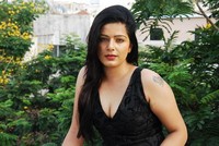 Reva DN Hot Photos
